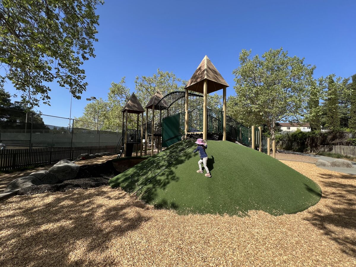 The turf slope at Giorgi Park