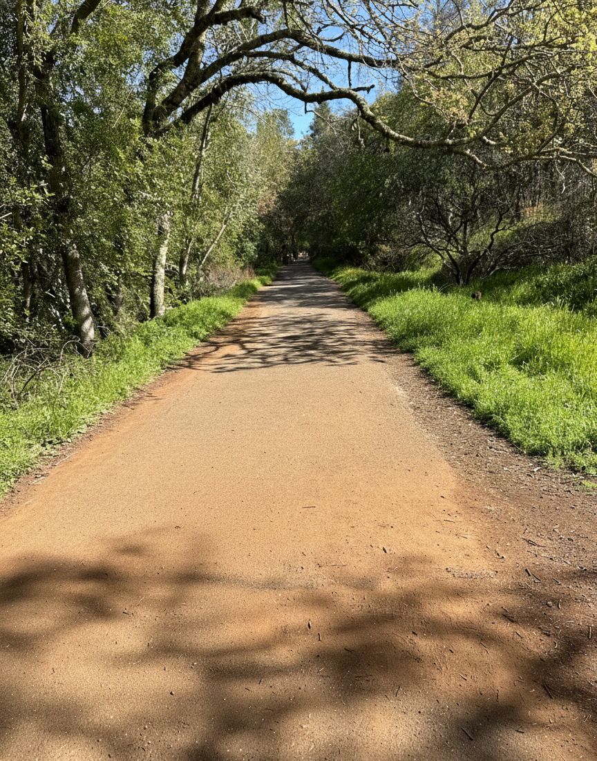 The trails at Howarth Park