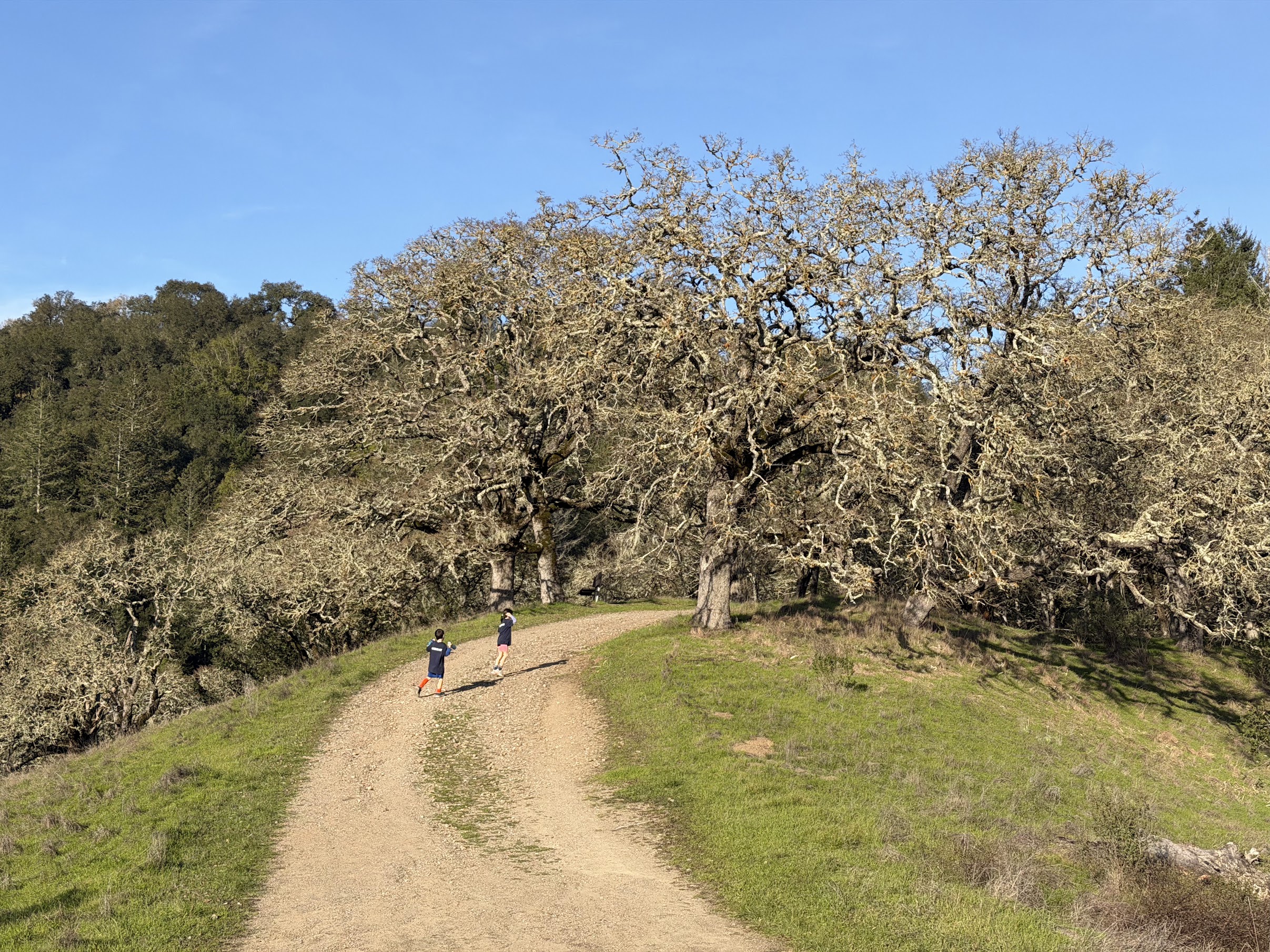 Welcome to Sonoma County Families